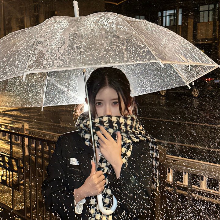 燕子不再归来